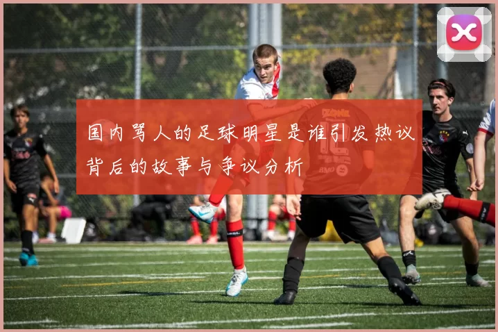 国内骂人的足球明星是谁引发热议背后的故事与争议分析