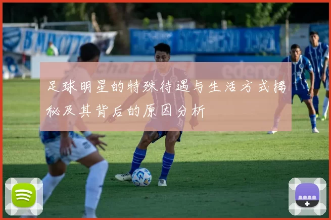 足球明星的特殊待遇与生活方式揭秘及其背后的原因分析