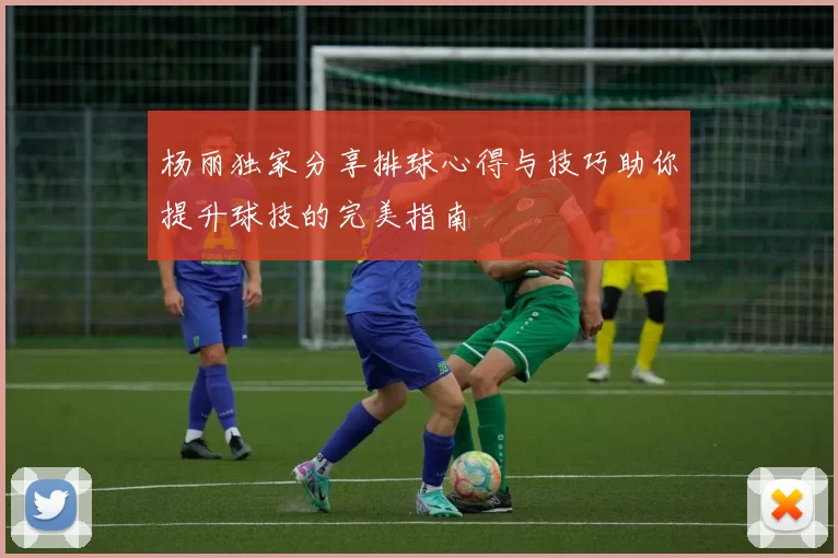 杨丽独家分享排球心得与技巧助你提升球技的完美指南