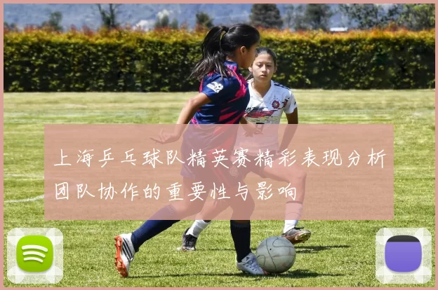 上海乒乓球队精英赛精彩表现分析团队协作的重要性与影响