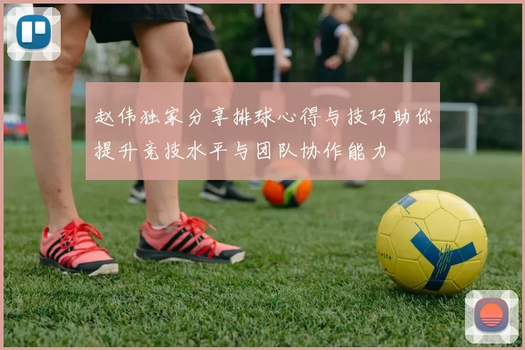 赵伟独家分享排球心得与技巧助你提升竞技水平与团队协作能力