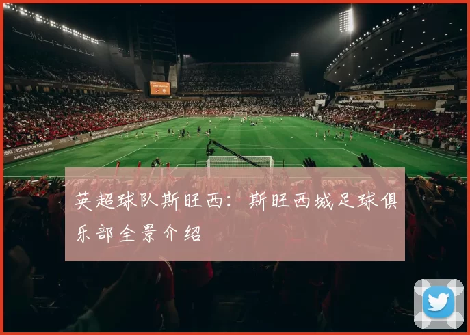 英超球队斯旺西：斯旺西城足球俱乐部全景介绍