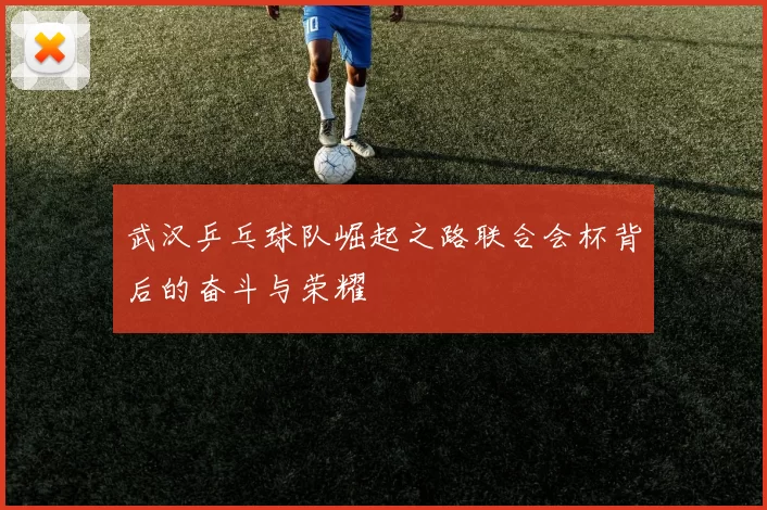 武汉乒乓球队崛起之路联合会杯背后的奋斗与荣耀