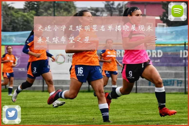 大连小学足球明星名单揭晓展现未来足球希望之星