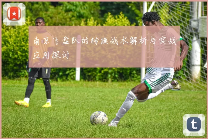 南京飞盘队的转换战术解析与实战应用探讨