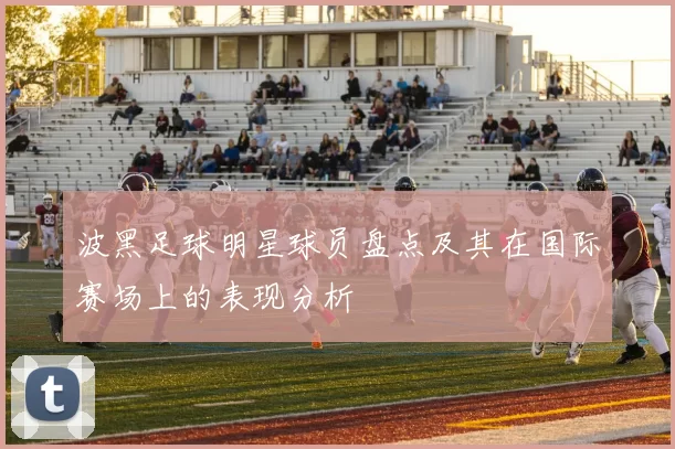 波黑足球明星球员盘点及其在国际赛场上的表现分析