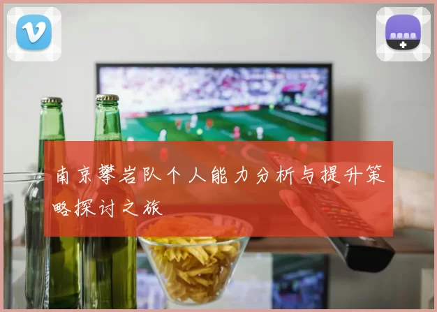 南京攀岩队个人能力分析与提升策略探讨之旅