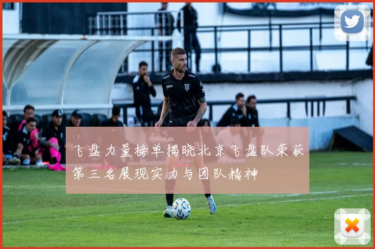 飞盘力量榜单揭晓北京飞盘队荣获第三名展现实力与团队精神