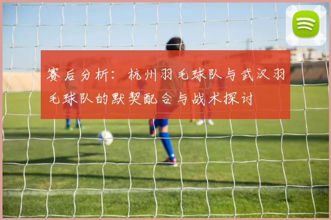 赛后分析：杭州羽毛球队与武汉羽毛球队的默契配合与战术探讨
