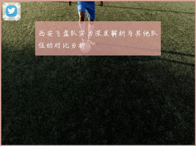 西安飞盘队实力深度解析与其他队伍的对比分析