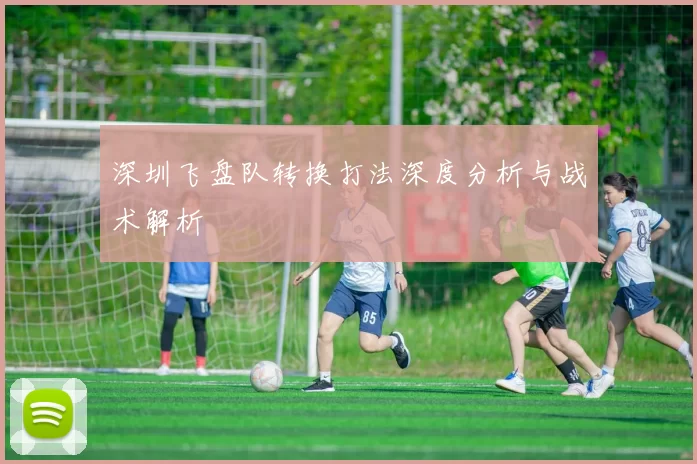 深圳飞盘队转换打法深度分析与战术解析