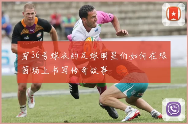 穿36号球衣的足球明星们如何在绿茵场上书写传奇故事