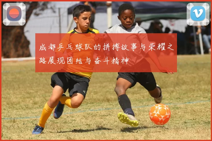 成都乒乓球队的拼搏故事与荣耀之路展现团结与奋斗精神