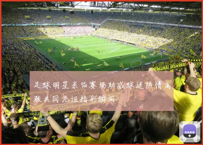 足球明星亲临赛场助威球迷热情高涨共同见证精彩瞬间