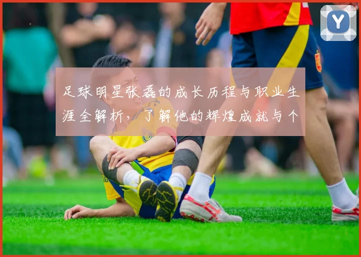 足球明星张磊的成长历程与职业生涯全解析，了解他的辉煌成就与个人生活
