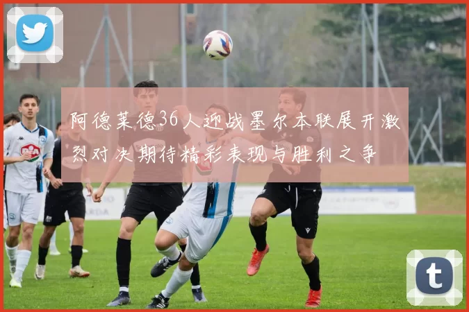 阿德莱德36人迎战墨尔本联展开激烈对决期待精彩表现与胜利之争