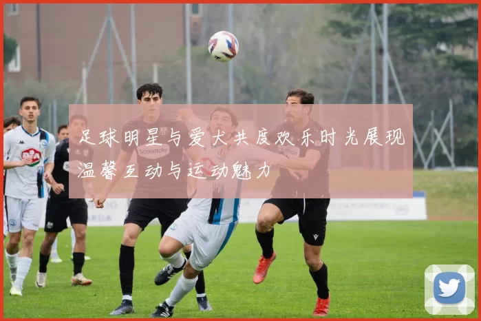 足球明星与爱犬共度欢乐时光展现温馨互动与运动魅力