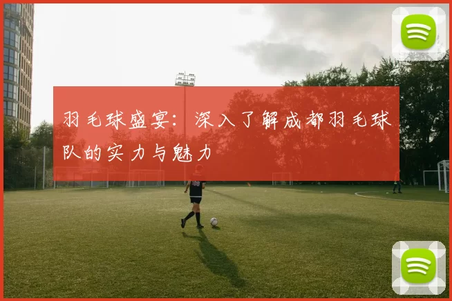 羽毛球盛宴：深入了解成都羽毛球队的实力与魅力