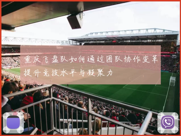 重庆飞盘队如何通过团队协作变革提升竞技水平与凝聚力