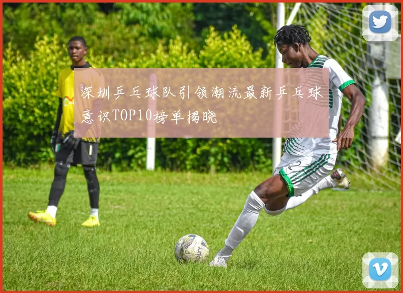深圳乒乓球队引领潮流最新乒乓球意识TOP10榜单揭晓