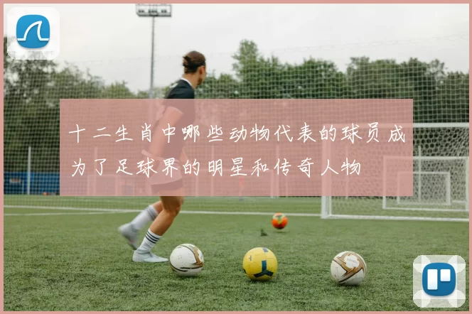 十二生肖中哪些动物代表的球员成为了足球界的明星和传奇人物