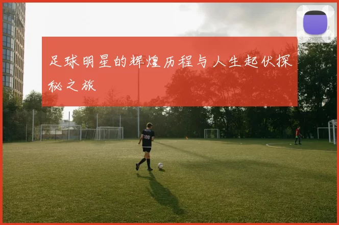 足球明星的辉煌历程与人生起伏探秘之旅