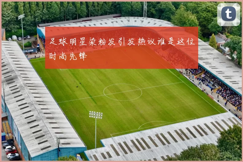 足球明星染粉发引发热议谁是这位时尚先锋