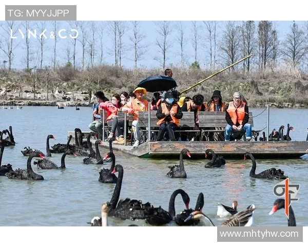 周磊专访:畅谈飞盘运动的发展与个人成长历程