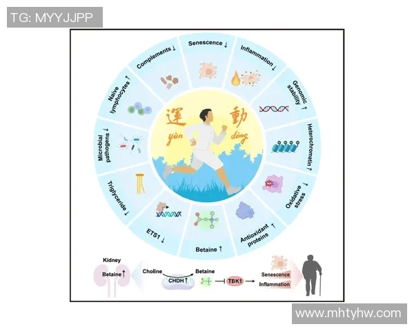 运动科学视角下的健康管理与运动表现提升策略研究